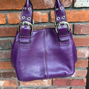 Tignanello perfect 10 mini tote